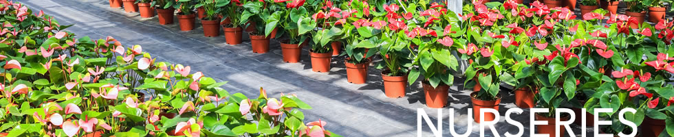 Banner Nurseries
